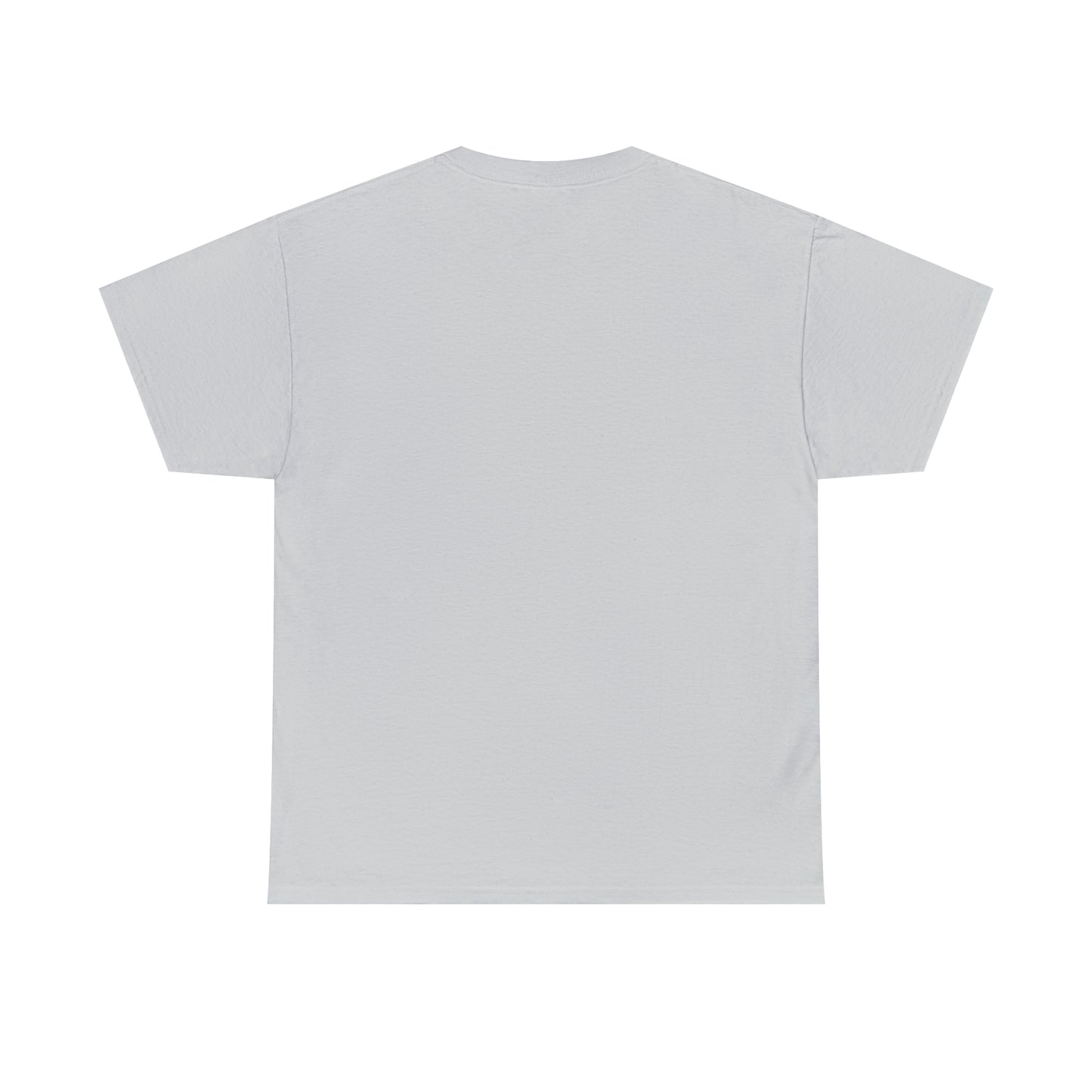 The TNS Style 2 Unisex Heavy Cotton Tee